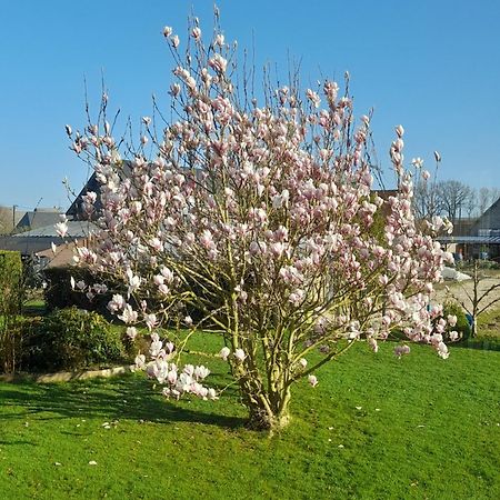 L'Abri Des Ames Apartment Gerponville Bagian luar foto